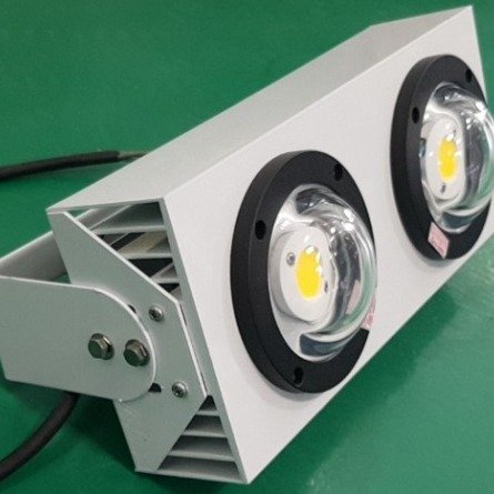 Đèn LED Chiếu Boong D CB02L/100W Rạng Đông