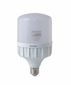 Bóng LED Bulb T70/12W 12-24VDC E27 6500K SS Rạng Đông